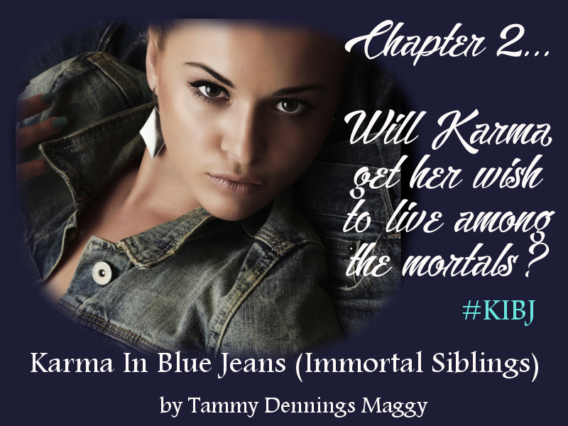 Chapter 2 Karma meme